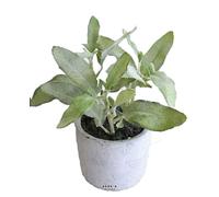 Artificielles.com - Herbe aromatique Artificielle Sauge H 17 cm, D 16cm
