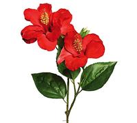 Artificielles.com - Hibiscus artificiel en branche H 65 cm 2 fleurs exotiques Rouge - couleur: Rouge