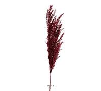 Artificielles.com - Magnifique fausse herbe de pampa grande tige 100 cm Pourpre - couleur: Pourpre