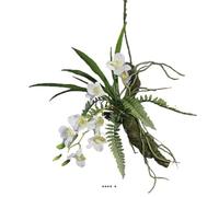 Artificielles.com - Orchidée Dendrobium factice Latex sur branche à suspendre L50cm Crème - couleur: Crème