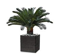 Artificielles.com - Palmier Cycas Artificiel sur Pied H 100 cm Superbe - dimhaut: H 100 cm - Couleur: Vert