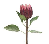 Artificielles.com - Protea, fleur des lacs, factice en tige, H67cm Rose soutenu - BEST - couleur: Rose soutenu