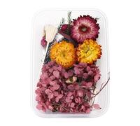 Artificielles Plastique Fleur 1 boîte de vraies fleurs séchées en résine,fleur époxy pour la fabrication de bijoux en résine époxy,fournitures artisanales,accessoires ( ne m'oubliez pas) ( L,One Size)