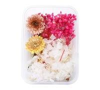 Artificielles Plastique Fleur 1 boîte de vraies fleurs séchées en résine,fleur époxy pour la fabrication de bijoux en résine époxy,fournitures artisanales,accessoires ( ne m'oubliez pas) ( N,One Size)