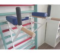 ARTIMEX Appareil à dips attachée à l'espalier - utilisée dans Les Maisons, Les gymnases ou Les centres de Fitness pour l'entraînement et Le Fitness, Code 270 (Blanc)