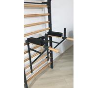 ARTIMEX appareil à dips attachée à l'espalier - utilisée dans les maisons, les gymnases ou les centres de fitness pour l'entraînement et le fitness, code 270 (Gris (RAL 7016))