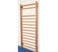 ARTIMEX Espalier pour la physiothérapie et la Gymnastique - Utilisation dans Les Maisons, Les cliniques, Les centres de Fitness et Les écoles - 230x90 cm, Code 221