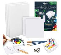 Artina 24pcs Kit Peinture Acrylique avec 8x12 ml Couleurs Acryliques, Toile 30x40 cm & 20x20 cm, Pinceaux et Plus - Set Artiste pour Enfant, Adulte, Débutants et Artistes Amateurs - Corsica