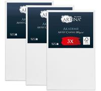 Artina Akademie - Lot de 3 Châssis Bois Toile Peinture 60x100 cm - 2 Fois Peinte au Préalable - 100% de Coton - 280 g/m149