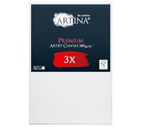 Artina lot de 3 toile peinture châssis bois coton tableau a peindre
