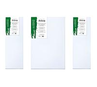 Artina Lot de toiles à peindre Triptyque 120x80cm - Châssis entoilés - Qualité académique