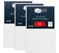 Artina Set de 3 Canvas Toile Peinture 50x80 cm - Tableau Peinture Châssis Entoilés en Bois FSC© - Tableau a Peindre Blanche 100% Coton 280g/m² - Toiles à Peindre Stable Akademie