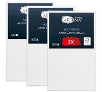 Artina Set de 3 Canvas toile peinture grand format châssis entoilés bois | 60x100cm blanche 100% coton tableau à peindre toiles stable FSC acrylique support artiste peintre vierge Akademie