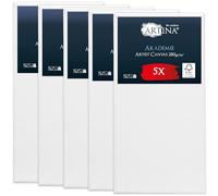 Artina Set de 5 Canvas Toile Peinture Grand Format 60x120 cm - Tableau Peinture Châssis Entoilés en Bois FSC© - Tableau Toile a Peindre Blanche 100% Coton 280g/m² - Toiles à Peindre Stable Akademie