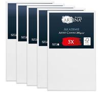 Artina Set de 5 Canvas toile peinture grand format châssis entoilés bois | 60x100cm blanche 100% coton tableau à peindre toiles stable FSC acrylique support artiste peintre vierge Akademie