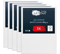 Artina Set de 5 Canvas toile peinture grand format châssis entoilés bois | 70x100cm blanche 100% coton tableau à peindre toiles stable FSC acrylique support artiste peintre vierge Akademie