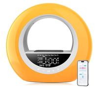 ARTINABS Réveil Simulateur d'Aube, Réveil Lumineux avec Commande par Application, Enceinte Bluetooth, Simulation de Lever et Coucher de Soleil, Radio FM, 16 Couleurs, 7 Sons Naturels, 2 Alarms