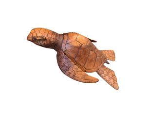 Artisanal Statue Tortue de mer XL 50cm. Sculpture sur Bois