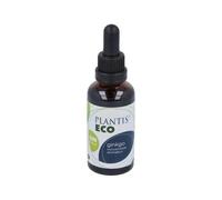 Artisanat Agricole Extrait de Ginkgo Biloba sans alcool 50 ml - Lot de 2 (100 ml total)