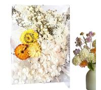 Artisanat de fleurs séchées, fournitures d'artisanat de fleurs séchées - fournitures d'artisanat pot-pourri pétales de fleurs séchées | Décoration florale de journal, décoration de carte de fleurs séc