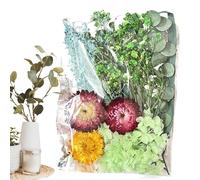 Artisanat de fleurs séchées - naturelles pour pièce maîtresse de mariage | Journalisation de la décoration florale et du décor de cartes | Fleurs sèches polyvalentes colorées pour chambre à co