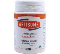 Artisome 60 Comprimés