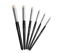 Artist Paint Brushes, Wool Brush, Professional Set for Acrylic Oil, Watercolor Gouache Soft Bristles, Precision Painting for Artists, Students, and Hobbyists (6X Brushes)