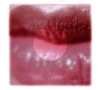 Artistes Divers - Bliss