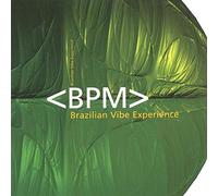 Artistes Divers - Brazilian Vibes Experience