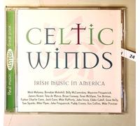 Artistes Divers - Celtic Winds-Irish Music in Am