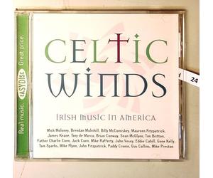 Artistes Divers - Celtic Winds-Irish Music in Am