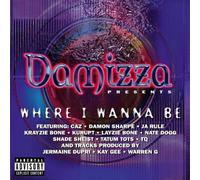 Artistes Divers - Damizza Presents : Where I Wanna Be