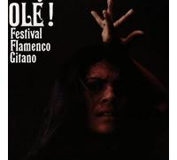 Artistes Divers - Festival Flamenco Gitano: Olé!