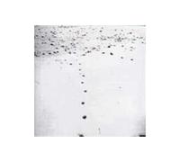 Artistes Divers - Folds & Rhizomes