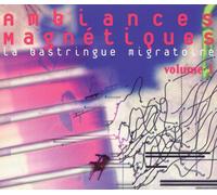 Artistes Divers - La Bastringue Migratoire