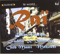 Artistes Divers - Le world... Rai