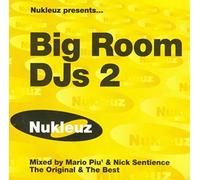 Artistes Divers - Nukleuz Presentz: Big Room DJ's 2