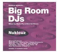 Artistes Divers - Nukleuz Presentz: Big Room DJ's