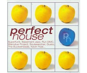 Artistes Divers - Perfect House