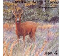 Artistes Divers - Stimmen im Wald