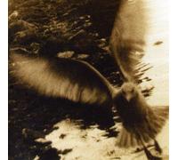 Artistes Divers - Take Me Home : A tribute to John Denver