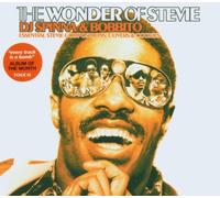 Artistes Divers - The Wonder of Stevie (Compiled & Mixed By DJ Spinna & Bobbito)