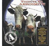 Artistes Divers - Tribute To Aerosmith