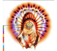 Artistes Divers - Voices Of The Real World