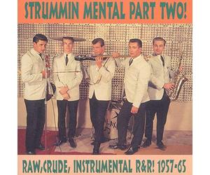 Artistes Divers - Vol. 2-Strummin' Mental
