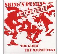 Artistes Divers - Vol. 3-Skins & Punks