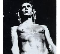 Artistes Divers - We Will Fall-the Iggy Pop Trib