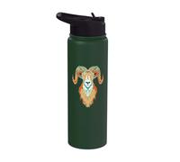 Artistic Big Horn Sheep Ram Head 80s Vibe Sketch Graphic Stainless Steel Insulated Water Bottle