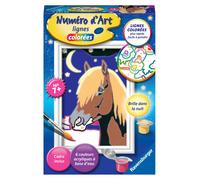 Artistique Numéro D'art - Mini - Cheval De Nuit