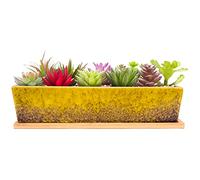 ARTKETTY Grand Pot de Fleurs rectangulaire en céramique de 30,5 cm avec Plateau de Drainage, pour Cactus d'intérieur, Plantes succulentes, bonsaï Peu Profond, décoration de Jardin